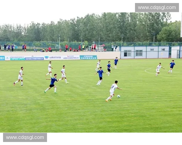 全国高校校园足球联赛最新实力排行榜揭晓强队争霸赛季风云再起