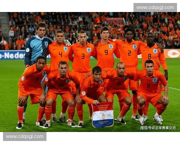 深度解析爱尔兰足球联赛发展现状与未来竞争格局全面展望新动向析